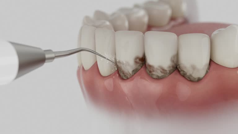 Reliable Dental contractor in St. Augustine Beach, FL by Dentist Open Now